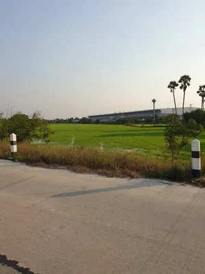 ขายที่ดิน 6 ไร่ ใกล้ศูนย์กระจายสินค้าโลตัส สามโคก