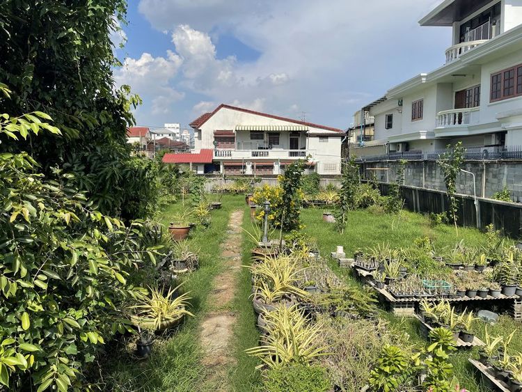 BL8 ขาย/ให้เช่า ที่ดิน ถนน สุขุมวิท 77 ซอย อ่อนนุช 14 #ที่ดินสุขุมวิท77, ภาพที่ 4