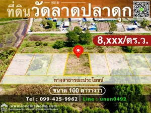 ขาย ที่ดิน ตำบลบางใหญ่ อำเภอบางใหญ่ จังหวัดนนทบุรี