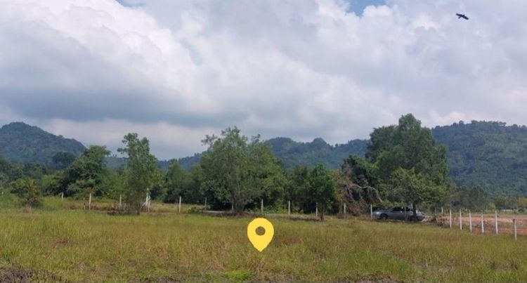 ขาย ที่ดิน วิวเขา ต.เขาพระ บ้านใหญ่ อำเภอเมืองนครนายก ราคาพิเศษ, ภาพที่ 4