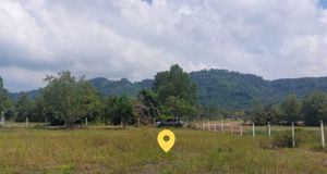 ขาย ที่ดิน วิวเขา ต.เขาพระ บ้านใหญ่ อำเภอเมืองนครนายก ราคาพิเศษ ID-13589