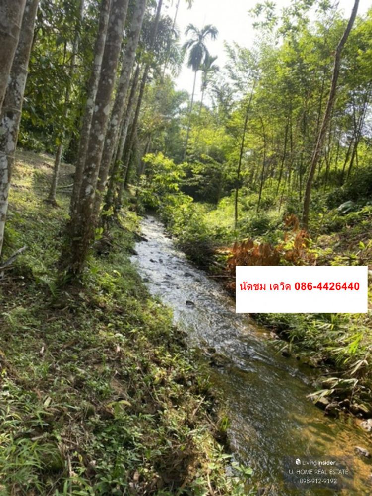 ขาย ที่ดิน อำเภอ กระเปอร์ จังหวัดระนอง ID-13699, ภาพที่ 4