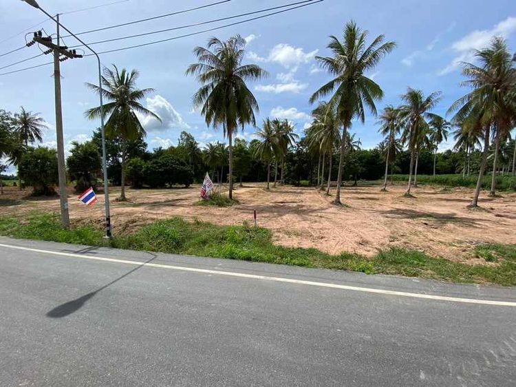 ขาย ที่ดิน ตำบลห้วยใหญ่ อำเภอบางละมุง จังหวัดชลบุรี, ภาพที่ 4