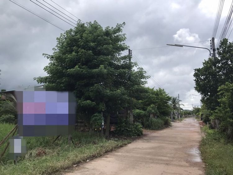 ขายที่ดิน        พรานกระต่าย กำแพงเพชร (PAP-4-0629 ), ภาพที่ 4