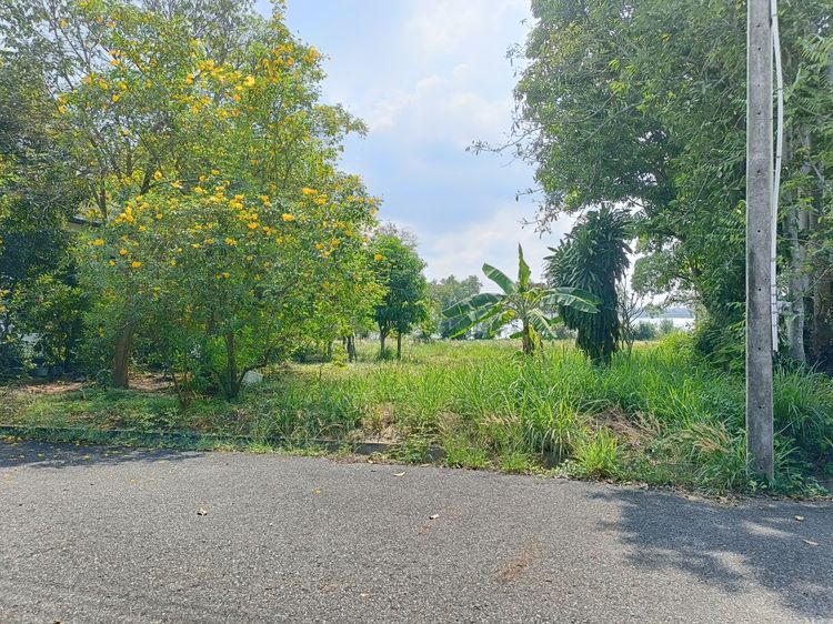 ขายที่ดิน ตะเคียนเตี้ย บางละมุง วิวธรรมชาติหลักล้าน ใกล้อ่างเก็บน้ำ, ภาพที่ 4