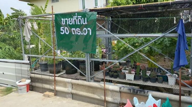 S2490 ขายที่ดินเนื้อที่ 50 ตารางวา ถนนสุขาภิบาล 5 ซอย 5 แยก 20, ภาพที่ 4