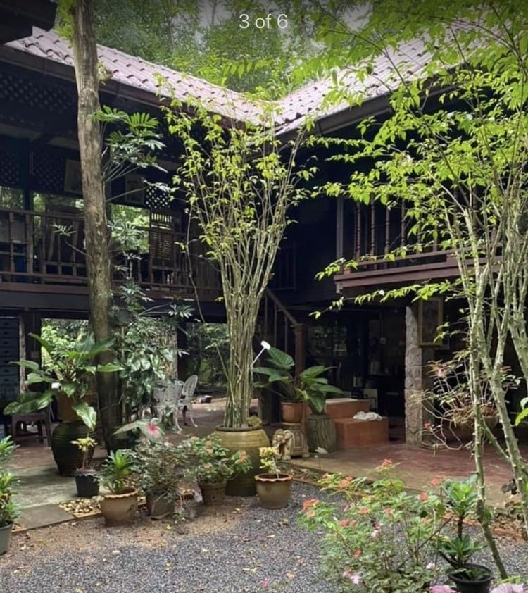 ขาย บ้าน ในโครงการ ขายบ้านพร้อมที่ดิน ติดถนนทางหลวง อ.กงหรา  อำเภอกงหรา, ภาพที่ 4