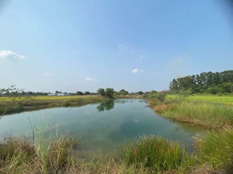 ขายด่วนที่ดินเปล่า ใกล้มศว. ศีรษะกระบือ-องครักษ์ จังหวัดนครนายก, ภาพที่ 4