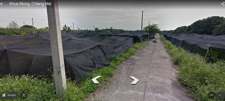 ขาย ที่ดิน ตำบลขัวมุง อำเภอสารภี จังหวัดเชียงใหม่, ภาพที่ 4