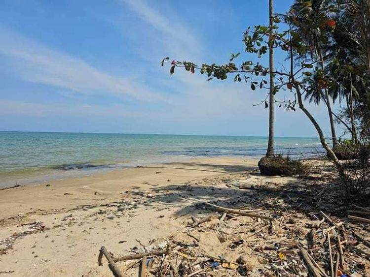 ขาย ที่ดิน ตำบลคันธุลี อำเภอท่าชนะ จังหวัดสุราษฎร์ธานี, ภาพที่ 4