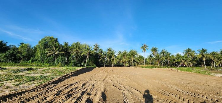 ขายที่ดินติดทะเลสวยหาดละแมชุมพร พิเศษสุด4 ล้านบาท มีเเค่ 2 ไร่เท่านั้น, ภาพที่ 4