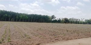 ขาย ที่ดิน ตำบลแม่น้ำคู้ อำเภอปลวกแดง จังหวัดระยองขายที่ดิน 10 ไร่ ใกล้นิคมอุตสาหกรรมดับบลิวเอชเออีสเทิร์นซีบอร์ด4 ต.แม่น้ำคู้ อ.ปลวกแดง จ.ระยอง