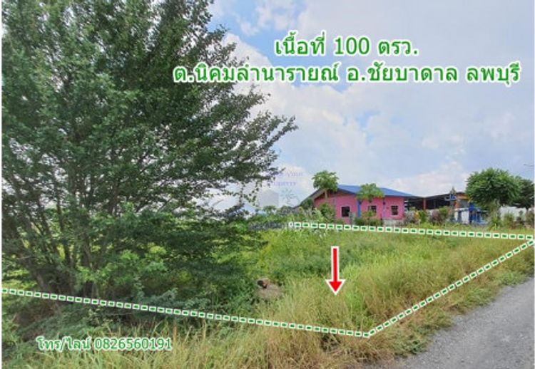 ขาย ที่ดิน จัดสรร ชัยบาดาล ลพบุรี 100 ตร.วา ที่ดินแปลงสวย Land for SALE, ภาพที่ 4