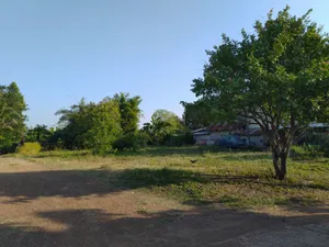 ขาย ที่ดิน 191 ตร.วา โฉนดครุฑแดง ติดถนนใหญ่ ใกล้ โลตัส วังน้ำเย็น 4.6 กิโล