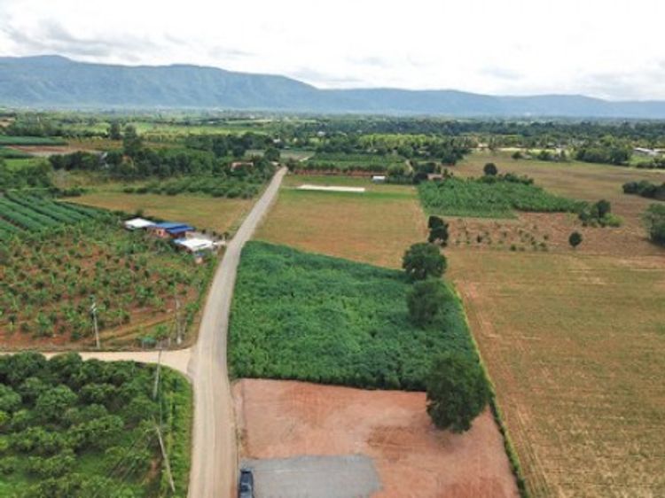 ขาย ที่ดิน เขาใหญ่ ต.โป่งตาลอง อ.ปากช่อง 1 ไร่ 1 งาน 28 ตร.วา, ภาพที่ 4