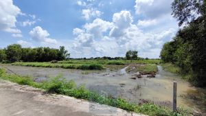 ขาย ที่ดิน 2 ไร่ คลอง 5 ฝั่งตะวันตก คลองหลวง ปทุมธานี ใกล้เส้นทางหลวงปทุมธานี-อยุธยา