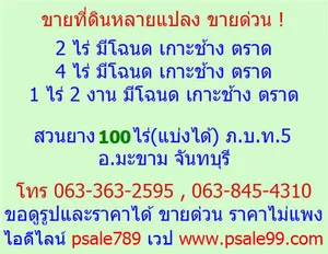 ขาย ที่ดิน ตำบลเกาะช้าง อำเภอเกาะช้าง จังหวัดตราด