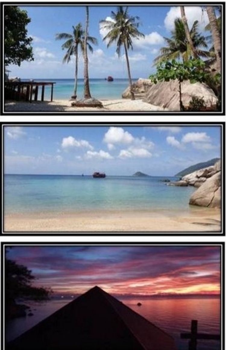 ขาย Charm Churee Villa Koh Tao Bamboo Huts จามจุรีวิลล่า  อ่าวจันทร์สม , ภาพที่ 4