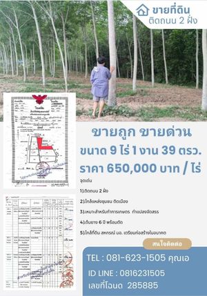 ถูกกว่านี้ไม่มีอีกแล้ว! ที่ดินพร้อมต้นยาง6ปี ทำเลทอง ติดถนนคอนกรีต2ฝั่ง อ.หาดใหญ่  จ.สงขลา ใกล้ถนนเอเชีย 1กม.