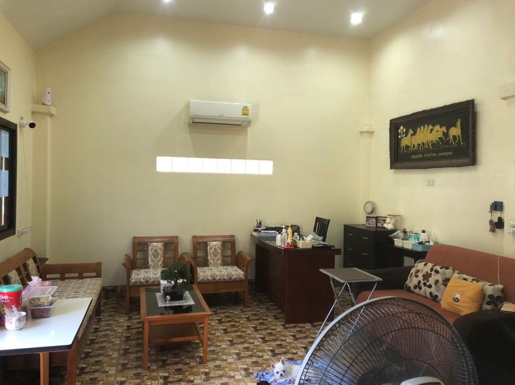 บ้านสวน 35.3ตรว บรรยากาศธรรมชาติ ใกล้โลตัสนครอินทร์, ภาพที่ 4