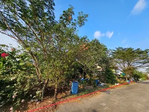 ขาย ที่ดิน ตำบลหลักหก อำเภอเมืองปทุมธานี จังหวัดปทุมธานี