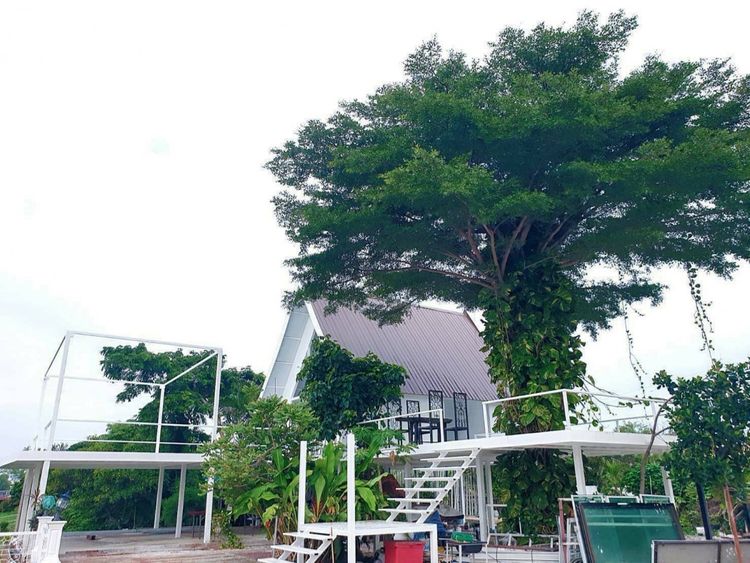 ขาย โรงแรม รีสอร์ทริมน้ำ ใกล้กรุงเทพ  รีสอร์ทกันเอง 10000 ตรม 3 ไร่ 2, ภาพที่ 4