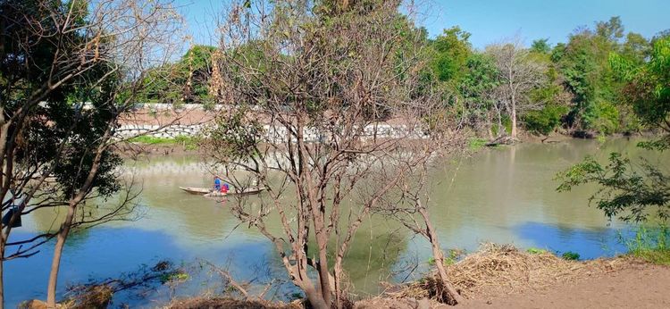 ขายที่ดินริมน้ำ 325 ตรว. ถมแล้ว ริมคลองบางปลาหมอ ใกล้โลตัสเสนา จ.อยุธยา, ภาพที่ 4