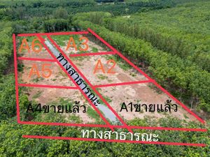 ขาย ที่ดิน ที่ดินแบ่งขายล็อคละประมาน 1 ไร่ ติดวังจันทร์ วัลเลย์ โรงเรียนกำเนิดวิทย์ อ.วังจันทร์ จ.ระยอง ผัง EEC พื้นที่สีเหลือ 1 ไร่