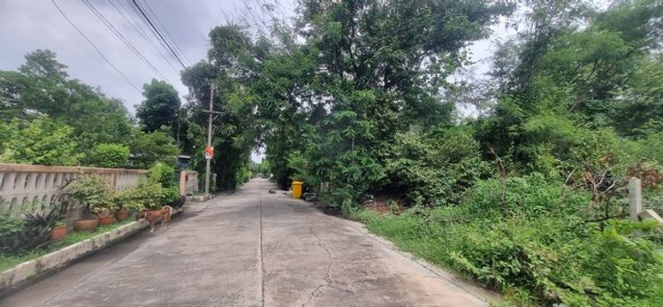 ขายที่ดินรามคำแหง 118 ใกล้รถไฟฟ้าสายสีส้ม สถานีสัมมากร  105  กรุงเทพฯ, ภาพที่ 4