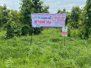 ขายที่ดินพร้อมต้นสัก 52-0-99 ไร่: ต.เขาทรายอ.ทับคล้อจ.พิจิตร 