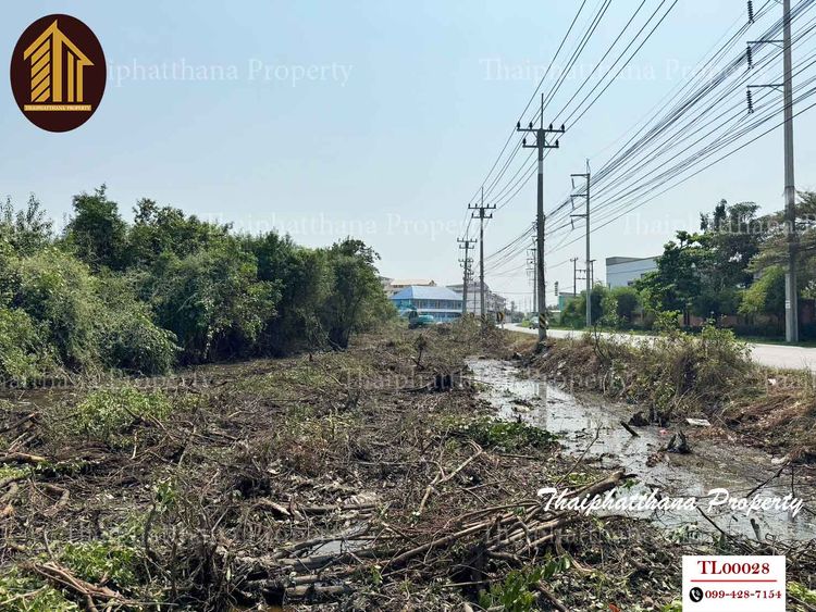 ขายที่ดินเปล่า 11-3-18 ไร่ ถนนพันท้ายนรสิงห์ เมืองสมุทรสาคร, ภาพที่ 4