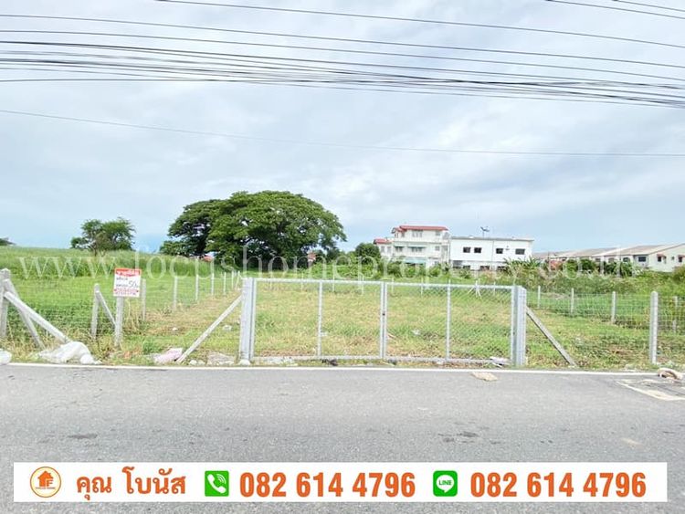 ขาย ที่ดิน 50 ตร.ว ซ. หล่อพระ ถนนบางกรวย – ไทรน้อย บางบัวทอง, ภาพที่ 4