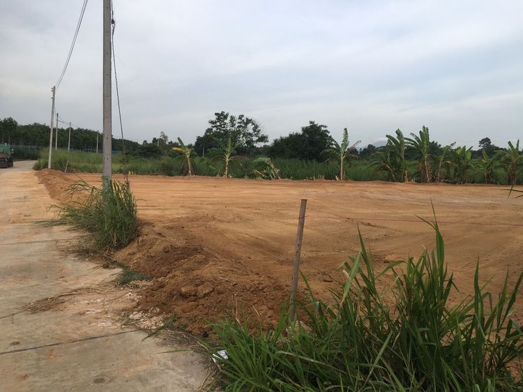 ขายที่ดินแม่น้ำคู้ถมแล้วเนื้อที่ 2 ไร่ ติดถนนคอนกรีตใกล้นิคมWHA4-5กม., ภาพที่ 4