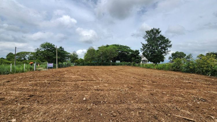 ขายที่ดินเปล่าถมแล้ววิวภูเขา 349 ตร.ว. ซอยครัวเบิกบาน มวกเหล็ก สระบุรี, ภาพที่ 4