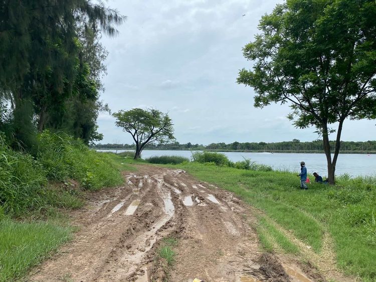 ขายที่ดินริมทะเลสาบหนองจอก ซอยมิตรไมตรี 28 เหมาะทำรีสอร์ต แคมป์ปิ้ง, ภาพที่ 4