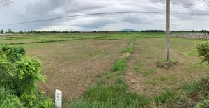 ที่ดิน ทรงแปลก ราคาแรงนิดๆ ในบ้านน้ำโท้ง ต นาครัว อ แม่ทะ ลำปาง 