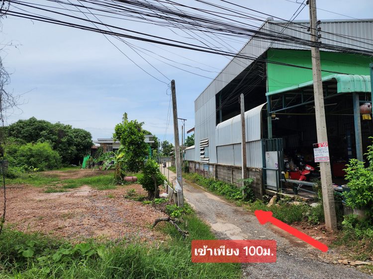 ขายที่ดินเปล่าซ.ป่าเลี่ยม อ.เมืองพิจิตร จ.พิจิตร เข้า-ออก, ภาพที่ 4