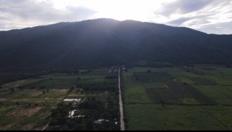 ขายที่ดินเปล่า วิวเขาหลวง ต.หนองกรด อ.เมือง จ.นครสวรรค์, ภาพที่ 4