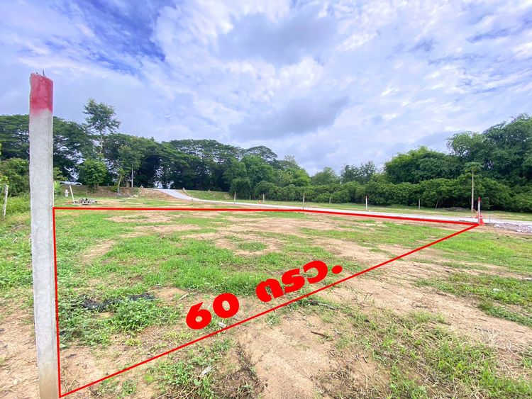 ขายที่ดินจัดสรรเริ่ม 57ตรว. 330,000บ. มี 6แปลง สาธารณูปโภคครบ ต.ขัวมุง, ภาพที่ 4