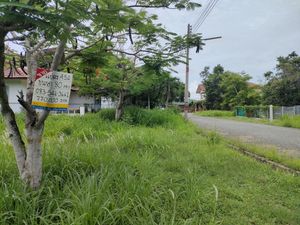 ขายที่ดิน จัดสรร 80 ตร.ว. โครงการบ้านเนินน้ำ แวดล้อมด้วยธรรมชาติ ตะเคียนเตี้ย บางละมุง เพียง 770000