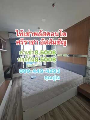 #ให้เช่าPlus Condo Srirachaพลัส คอนโด ศรีราชา ข้างรร.อัสสัมชัญ ชั้น 8 เพียง 8,500/ด.  (jRich1338)