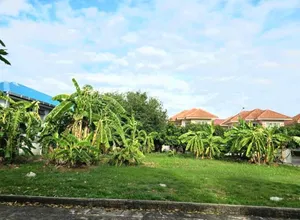 ขายที่ดินซอยพหลโยธิน69/1  เนื้อที่ 116 ตรว.(2 โฉนด) ติดกันค่ะ