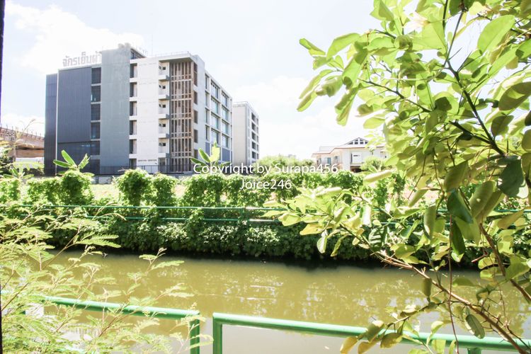 ขายที่ดิน โรงงาน โกดัง เพชรเกษม 29 บางแค 185 ตร.ว ใกล้ถนนใหญ่แค่ 50 ม., ภาพที่ 4