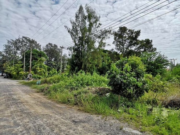 ขาย ที่ดิน ต.ปึกเตียน อ.ท่ายาง จ.เพชรบุรี    PAPC2_0009 C010, ภาพที่ 4