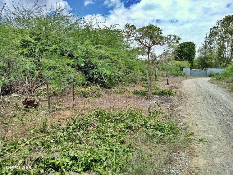 ขาย ที่ดิน ต.ปึกเตียน อ.ท่ายาง จ.เพชรบุรี     PAPC2_0009 C008, ภาพที่ 4