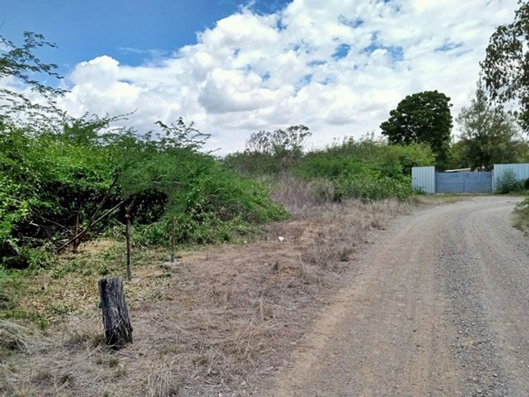 ขาย ที่ดิน ต.ปึกเตียน อ.ท่ายาง จ.เพชรบุรี     PAPC2_0009 C007, ภาพที่ 4