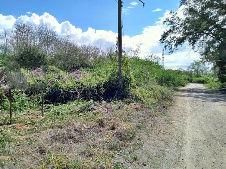 ขาย ที่ดิน ต.ปึกเตียน อ.ท่ายาง จ.เพชรบุรี     PAPC2_0009 C003, ภาพที่ 4
