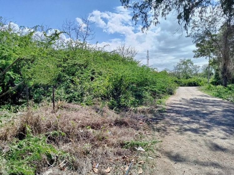 ขาย ที่ดิน ต.ปึกเตียน อ.ท่ายาง จ.เพชรบุรี     PAPC2_0009 C002, ภาพที่ 4