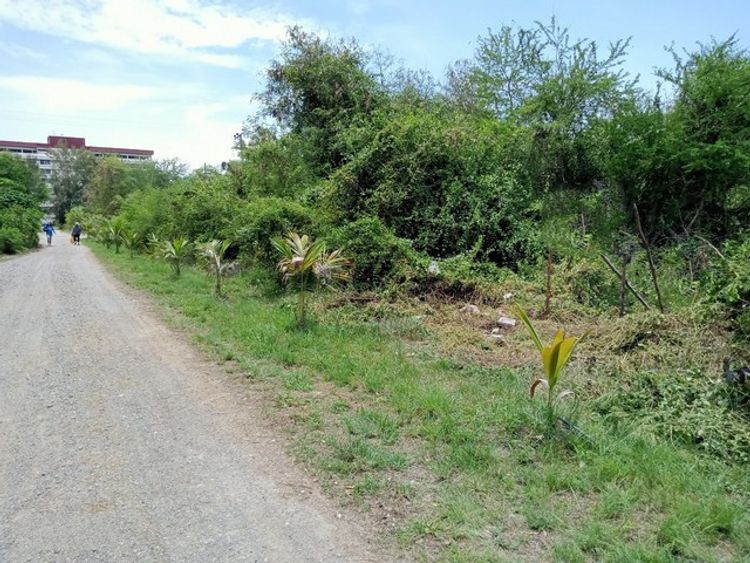 ขาย ที่ดิน ต.ปึกเตียน อ.ท่ายาง จ.เพชรบุรี  PAPC2_0009 C015, ภาพที่ 4