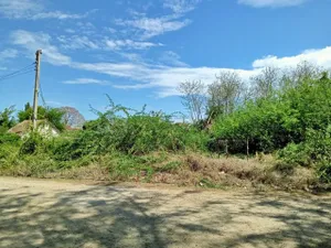 ขาย ที่ดิน ต.ปึกเตียน อ.ท่ายาง จ.เพชรบุรี     PAPC2_0009 C002